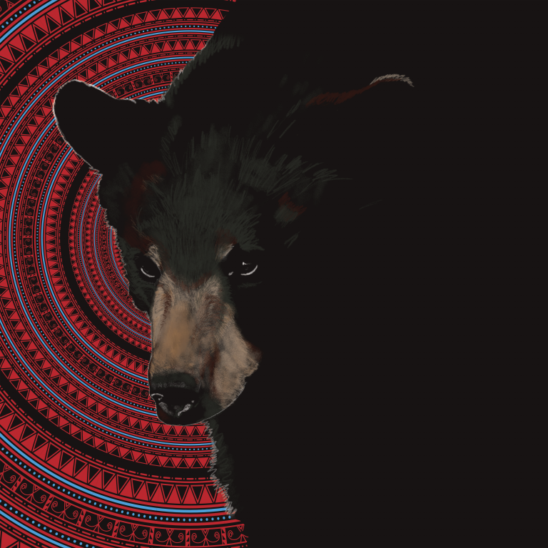 My print of a black bear’s face over red concentric rings