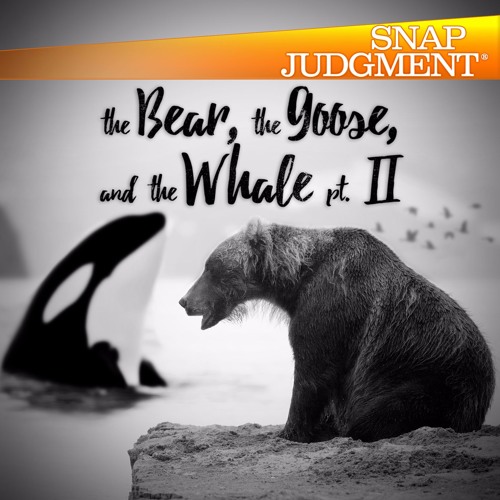 Listen to the entire Snap Judgment episode "The Bear, The Goose and The Whale (Part 2)