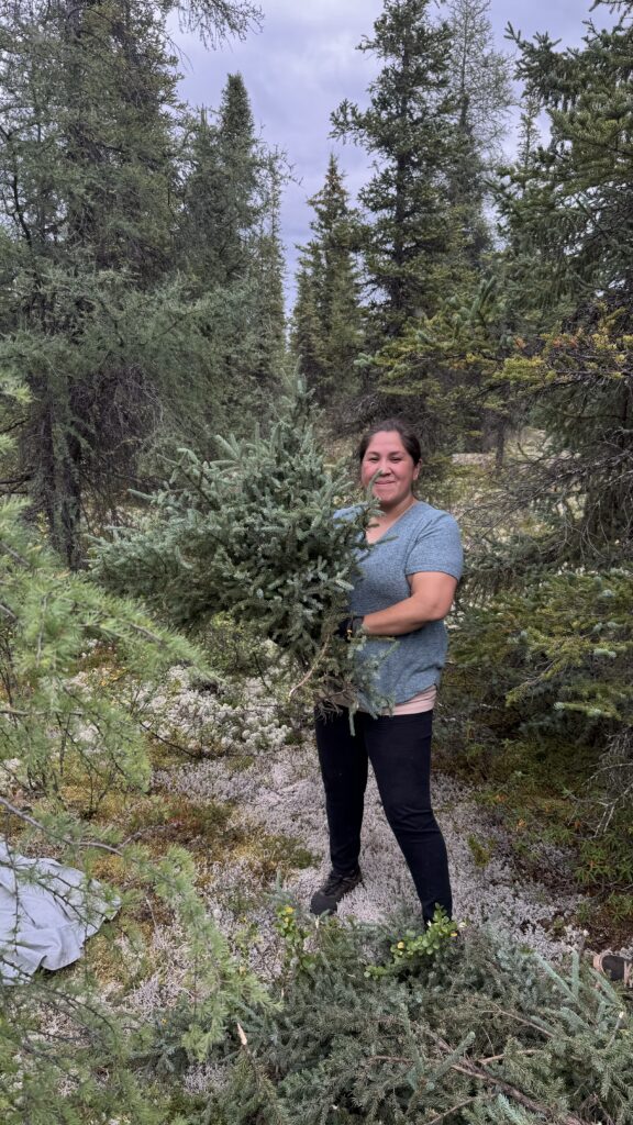 A woman standing in a forest, holding freshly cut spruce boughs in her arms. She is smiling and surrounded by conifer trees and a mossy forest floor.