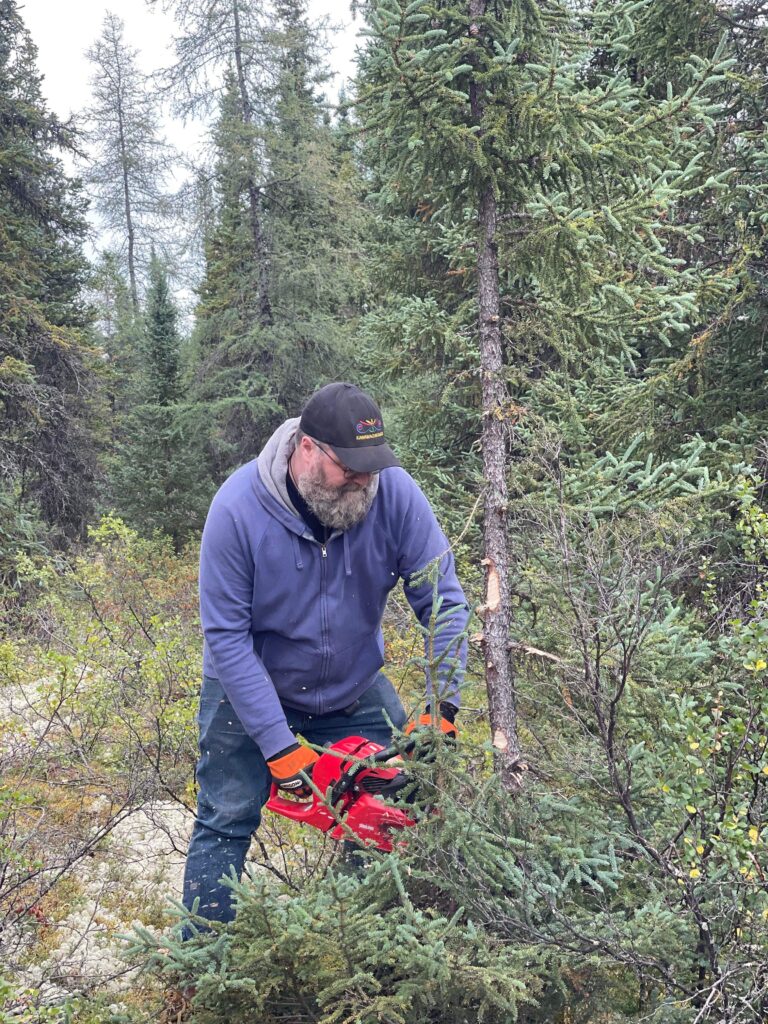 A bearded Benjamin Jancewicz, wearing a cap and hoodie, uses a chainsaw to cut a spruce tree in the forest. He focuses on the task as small branches fall away from the cut.