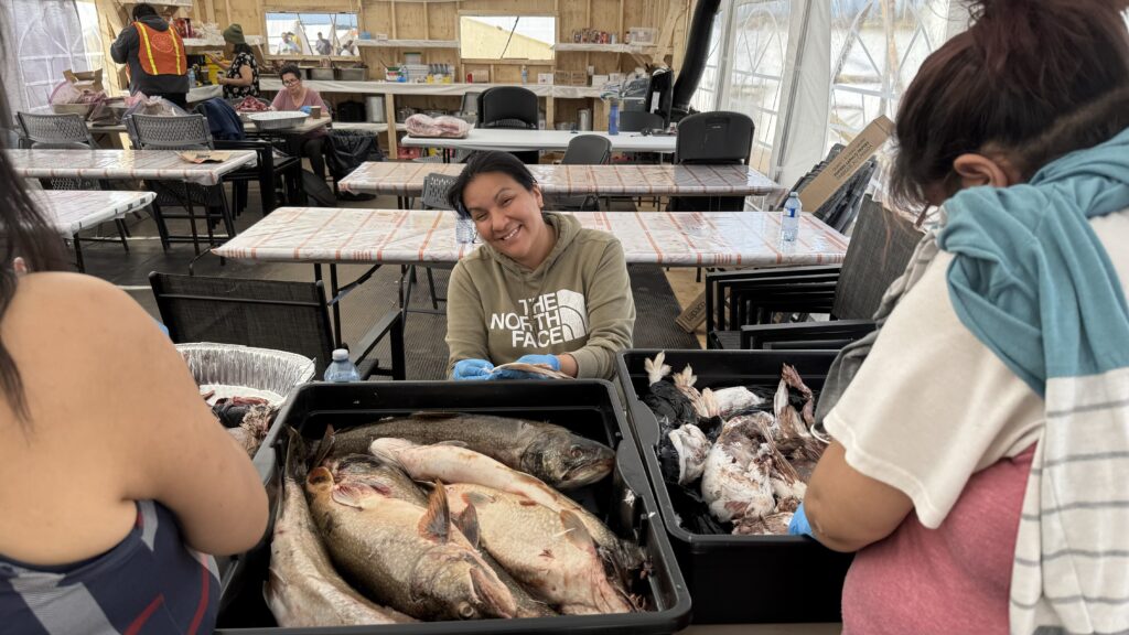 Image of a person smiling while cleaning fish at the Naskapi Kitchen: A person wearing a light brown hoodie with "The North Face" printed on it smiles while cleaning a fish at the Naskapi Kitchen. Two others beside her work on preparing birds. In the foreground are large trays of fresh fish and birds awaiting preparation.