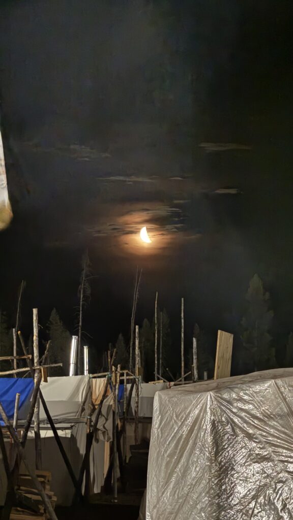 The bright half-moon glows through a slightly cloudy night sky, illuminating tents covered in tarps and tree branch poles. The dark forest background adds to the serene nighttime atmosphere.