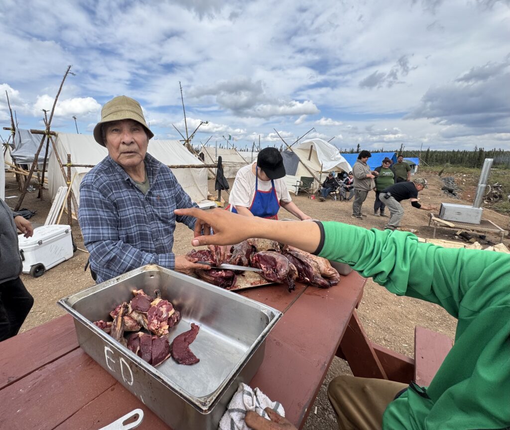 Image of Samson butchering geese: An older man, Samson, stands by a picnic table, wearing a plaid shirt and a bucket hat, carefully cutting meat from freshly butchered geese. His expression is focused. Around him, a few others work on preparing the food, with tents and other camp structures visible in the background. Various cuts of meat are laid out in a tray labeled "ED" on the table.