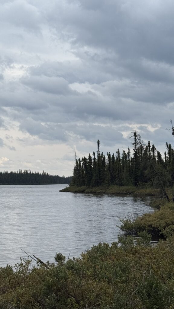 A calm lake under an overcast sky with dark, thick clouds. The lake is surrounded by dense coniferous forest, and the shoreline curves gently with trees stretching out towards the water. The scene is quiet and serene, with a feeling of stillness.