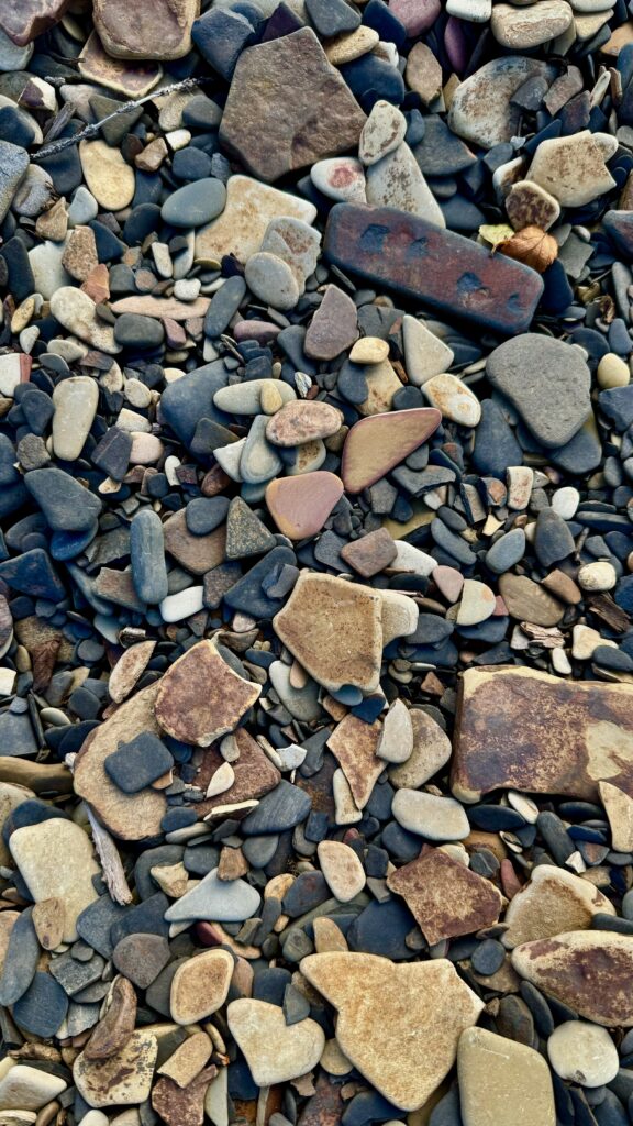 A close-up view of variously shaped and colored pebbles on a beach. The stones range from smooth, rounded pebbles to flat, weathered pieces in earthy tones of brown, gray, and beige.