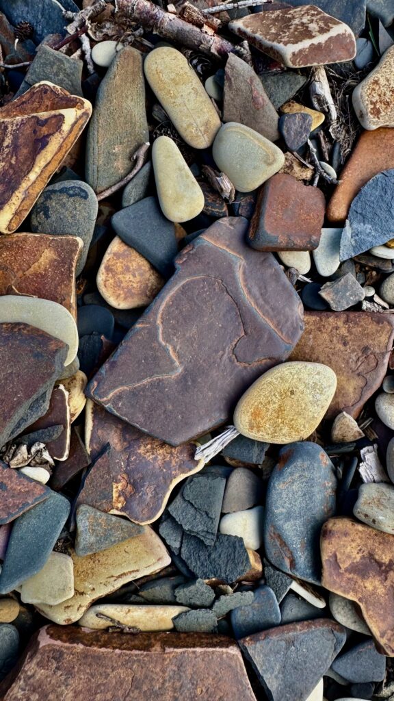 An overhead view of a variety of smooth, flat stones on a beach, ranging from light beige to dark brown and gray. Several large rocks are mixed among smaller, rounded pebbles.