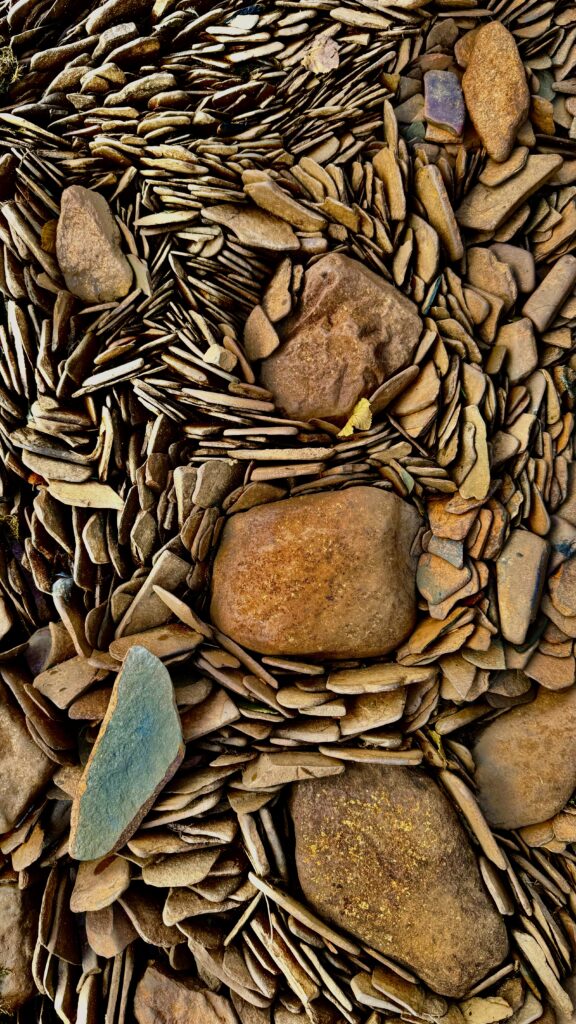 A close-up of a collection of thin, flat, overlapping stones, arranged in intricate natural patterns. The stones vary in shades of brown and gray, with a few large rocks interspersed.