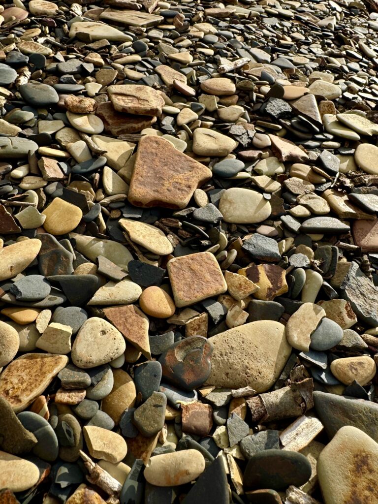 A beach covered in a mix of large, flat, and smooth stones in various colors, including shades of brown, gray, and beige. The stones stretch out towards the water, catching the warm sunlight.