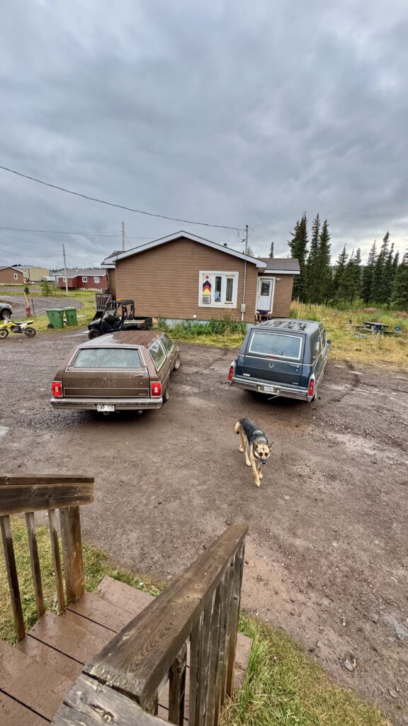 Two hearses are parked outside a small brown house with a dirt driveway. A dog walks near the steps leading up to the house. The sky is overcast, and trees can be seen in the background. The scene captures the moment as people gather for a funeral.