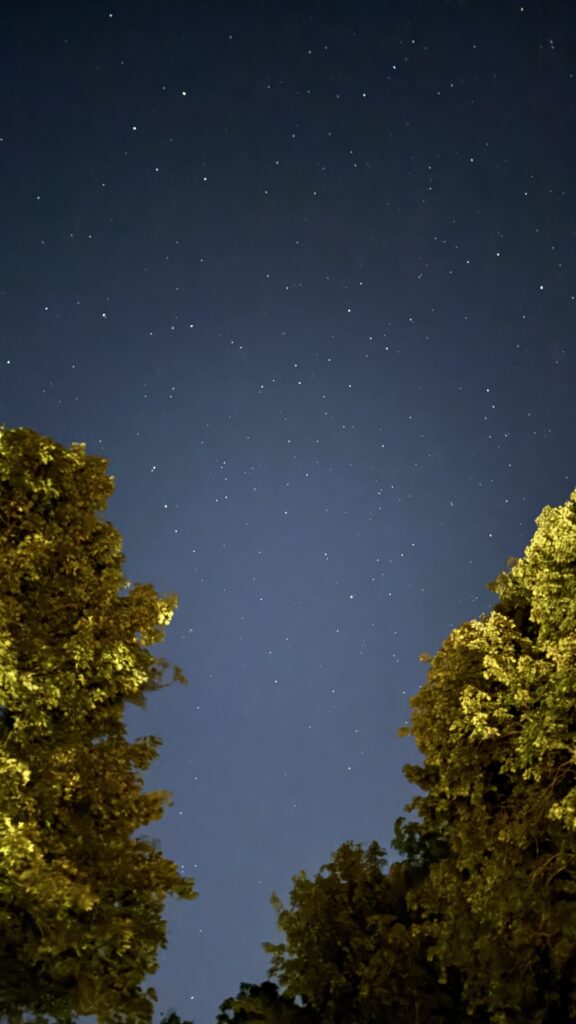 A peaceful night sky filled with countless stars, seen from a ground perspective with the tops of trees framing both sides of the image. The stars are bright against the dark sky, and the trees are gently illuminated, possibly by nearby light sources. The scene evokes a sense of tranquility and the vastness of the universe.
