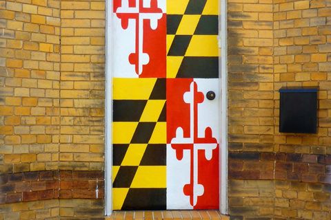 Activist draws attention to Maryland flag’s Confederate ties during #NoConfederate campaign