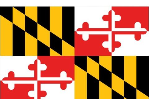 Leftists Launch Attack on Maryland State Flag Calling It ‘Confederate Symbol’