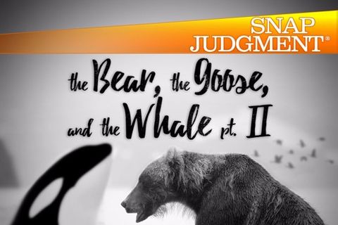 The Bear, The Goose and The Whale (Part 2)